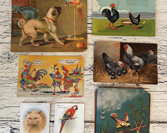 Antique Victorian Ephemera Lot - Advertising Trade Cards, Postcards -Pug, Birds, Animals