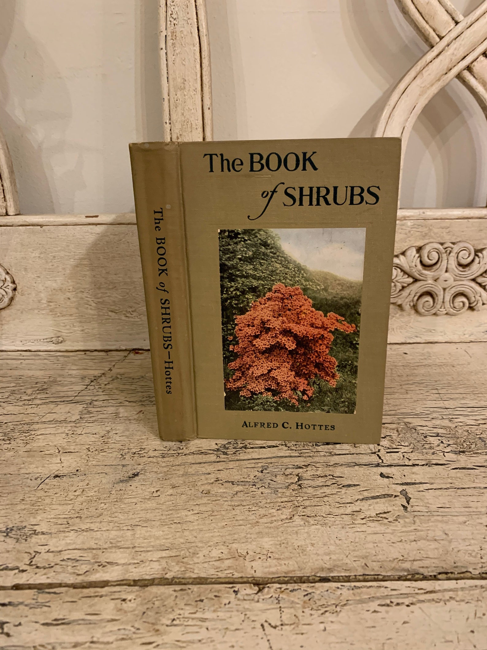 The Book of Shrubs 1931 Vintage Book on Landscaping and Etsy