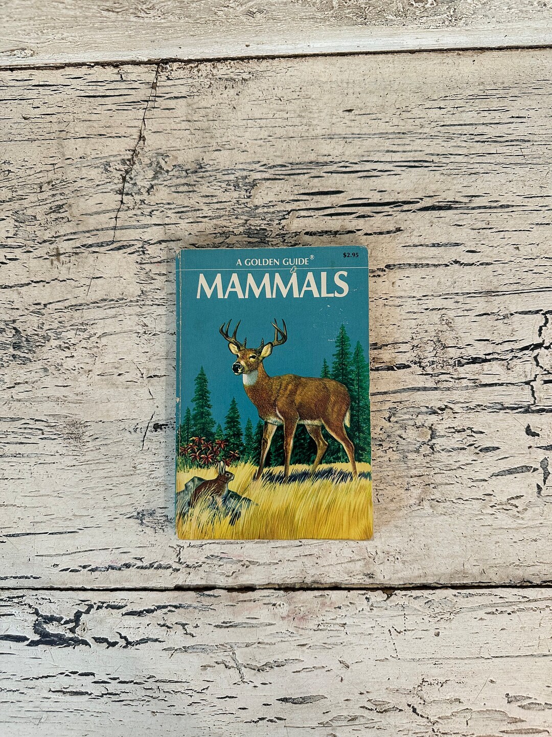 Old Nature Guide Golden Nature Guide - Pocket Size - Mammals - 1955 - Etsy