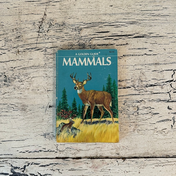 Golden Nature Guide - Pocket Size - Mammals - 1955