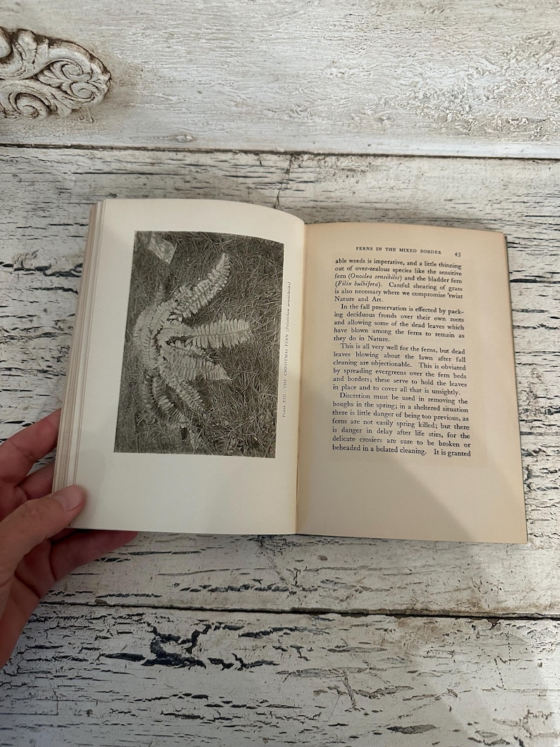 May include: An open book with a black and white fern illustration on the left page and text on the right. The book is on a white wooden surface. The text on the right page reads "FERNS IN THE MIXED BORDER".