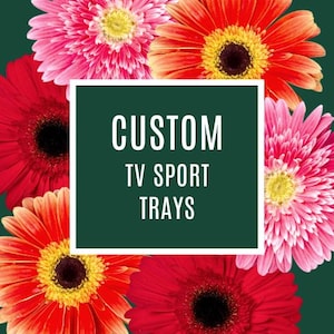 Sports TV tray