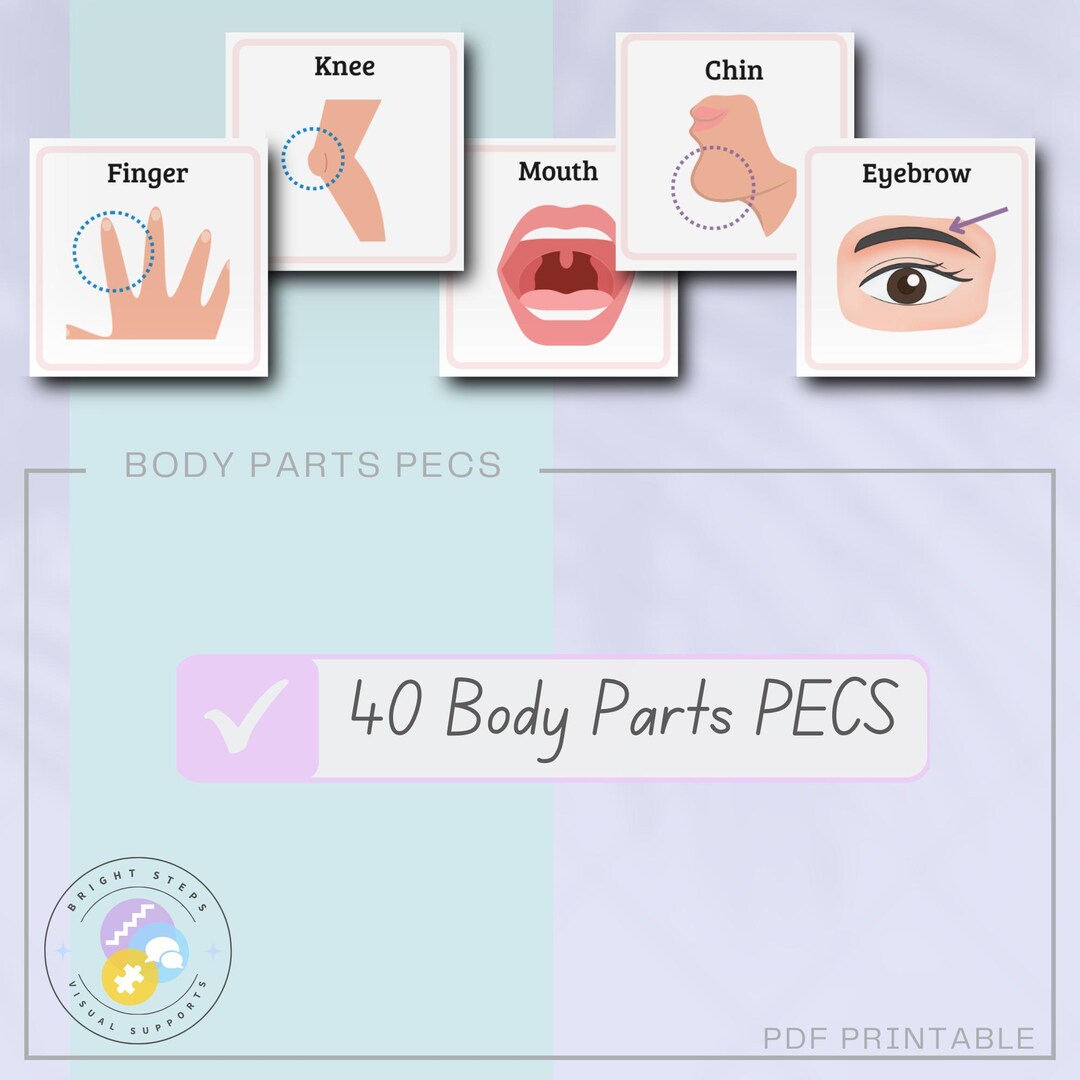 Body Parts PECS - Communication Cards: Autism & Speech Therapy (PDF) - Etsy