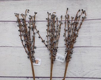 3 Gray 18 inch Pip Berry Picks  - Sprays - Stems, Country Primitive Craft Floral Arrangement Woodworking Supply, Grey