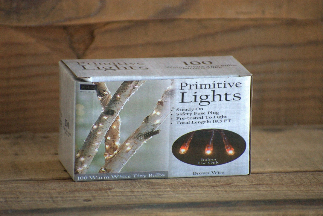 100 Ct Brown Cord Wire Rice Light Strand String Set, Steady On, Warm ...