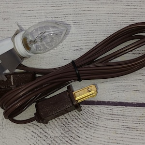 May include: A brown electrical cord with a plug on one end and a light socket on the other. A clear light bulb is attached to the socket.