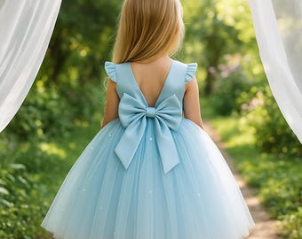Tulle Princess Ball Gown | Big Bow Flower Girl Dress