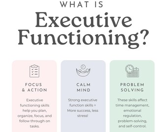 Understanding Executive Functioning, Educational Resource, Brain Skills Book, Academic Support, Cognitive Development