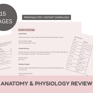 Anatomy Physiology Study Guide PDF | TEAS Nursing School Prep (16 Pages)