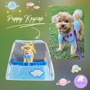 Puede incluir: Una tecla transparente con una figura de cachorro en miniatura en su interior. La tecla tiene una base azul con detalles de nubes y flores. El cachorro lleva un suéter azul y rosa. La imagen también incluye una foto de un perro real con un suéter azul y una correa morada.