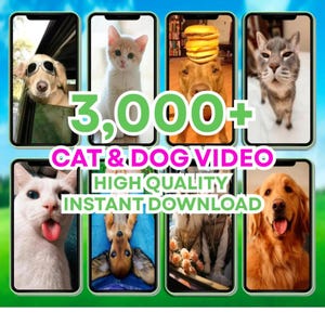 May include: An advertisement featuring eight smartphone screens displaying various cats and dogs. The text "3,000+ CAT & DOG VIDEO" is prominently displayed, along with "HIGH QUALITY INSTANT DOWNLOAD". The images showcase different breeds and playful moments.