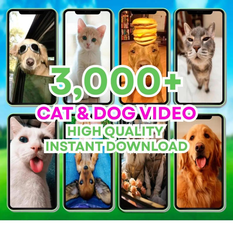 May include: An advertisement featuring eight smartphone screens displaying various cats and dogs. The text "3,000+ CAT & DOG VIDEO" is prominently displayed, along with "HIGH QUALITY INSTANT DOWNLOAD". The images showcase different breeds and playful moments.