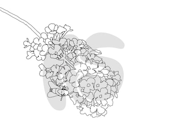 Flower coloring pages Digital Download
