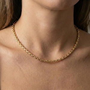 May include: A gold-colored chain necklace with a textured, woven design. The necklace is worn around the neck and rests on the collarbone. The jewelry is a simple, elegant accessory.