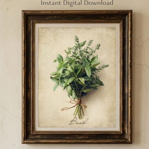 May include: A framed wall art print featuring a botanical illustration of a bunch of green basil tied with twine. The background is a textured, aged cream color. The word Basil is written in a cursive script at the bottom of the print.