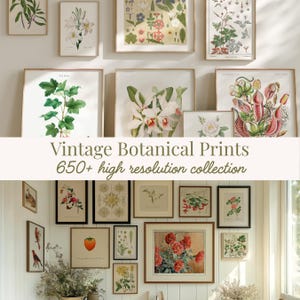 Vintage Botanical Wall Art Set, Wild Flowers Botanical Prints, Cottagecore Decor, French Country Wall Decor, Printable Gallery Wall Decor