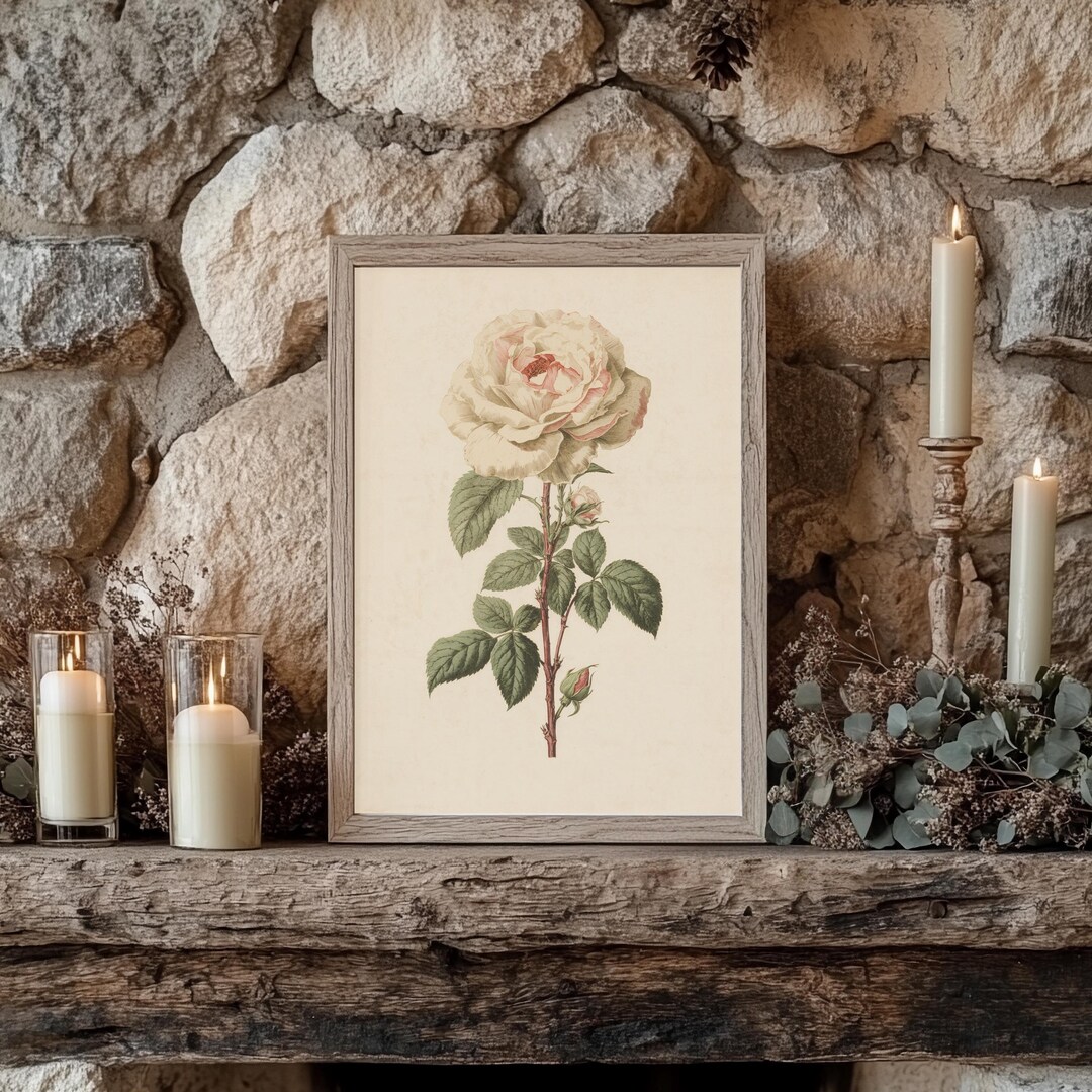 Antique Rose Botanical Wall Art Printable, Vintage Floral Illustration ...