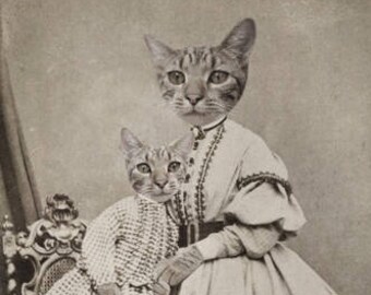 Cat Art Print, Animal in Clothes, 5x7 Inch Print Matted in 8x10 Inch Mat, Mother's Day Gift, Cats in Dress, Victorian Portrait, frighten