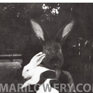Black Rabbit Art, Weird Easter Art, 8 x 10 Inch Print, Unusual Mixed Media Collage, Anthropomorphic Art, Creepy Bunny