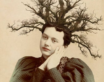 Surreal Art Print, 8 x 10 Inch Print, Victorian Woman with Tree Branches in Hair, Unusual Nature Mixed Media Collage, frighten