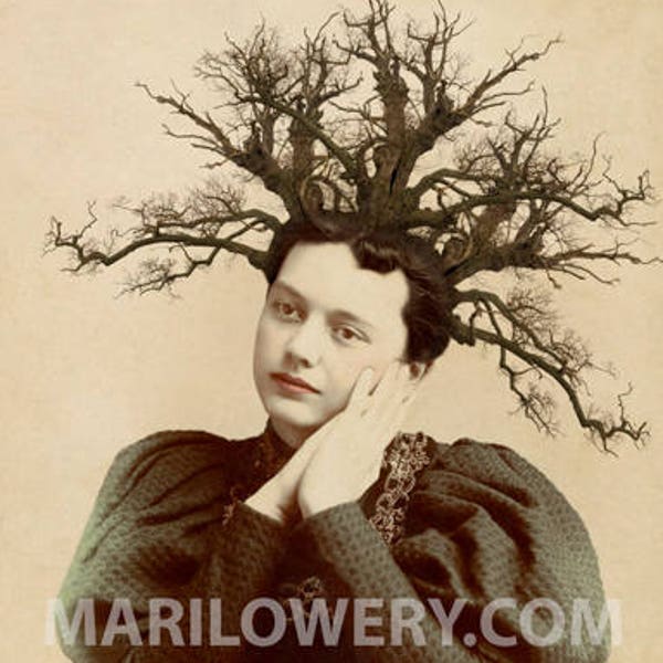 Surreal Art Print, 8 x 10 Inch Print, Victorian Woman with Tree Branches in Hair, Unusual Nature Mixed Media Collage, frighten