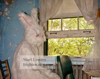 Creepy White Rabbit Photography Print, 8x8 on 8.5 x 11 Inch Photo Paper, Weird Easter Wall Art, Strange Decor