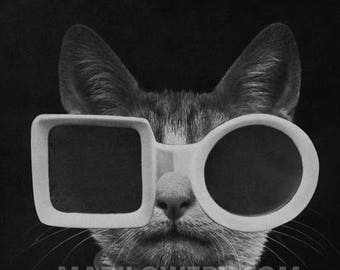 Retro Cat Art Print, Black and White, Cat with Sunglasses, Paper Collage Print, Animal Wall Decor, 8x8 on 8.5 x 11 inch paper, frighten