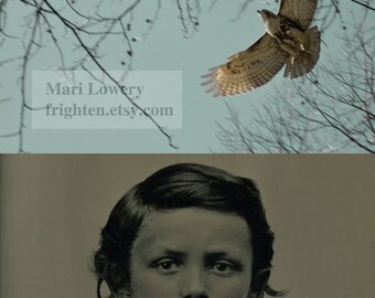 Unusual Art Print Diptych Photography 8.5 x 11 inch Print, Hawk Photography, Moody Antique Photo Mixed Media Print