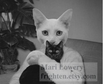 White Cat Holding Black Cat 8 x 10 Inch Creepy Cute Cat Art Print, Black and White Digital Collage Wall Art