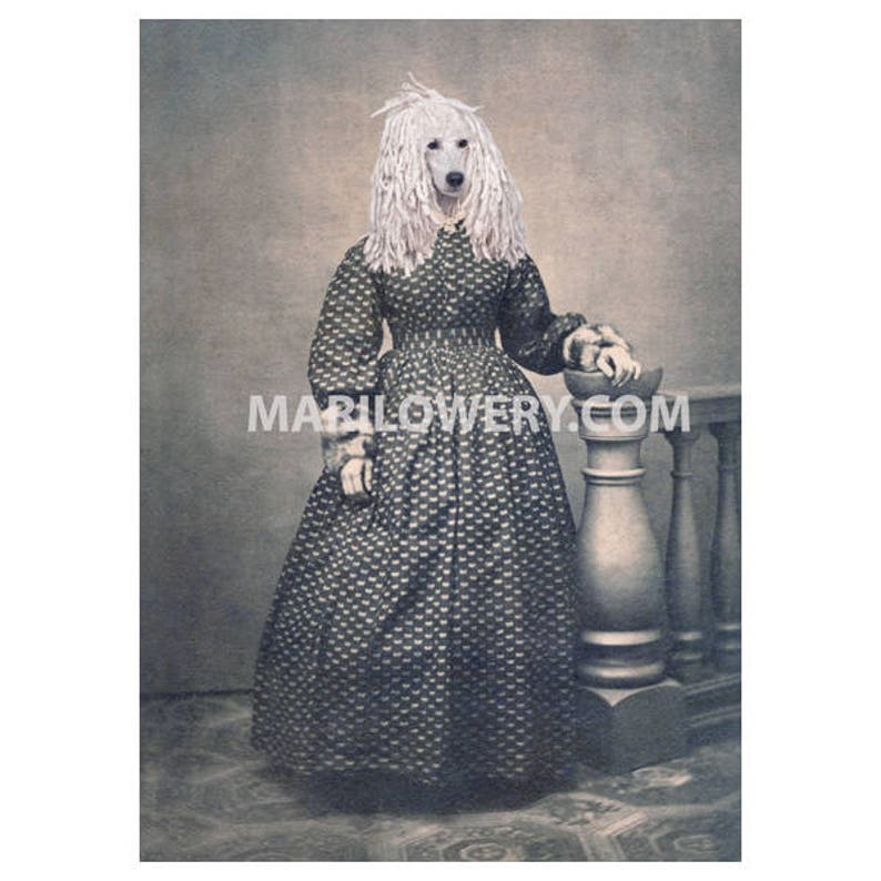 White Poodle Collage Art Print, Victorian Dog in Dress Animal in Clothes 5x7 Inch Print, Anthropomorphic Animal Wall Decor, Dog Gift Idea image 1