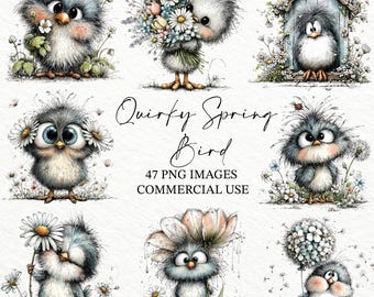47 Quirky Spring Bird Clipart Bundle PNGs, Watercolor Bird Clip Art, Cute Spring Animal Graphics Illustrations Commercial Sublimation Design
