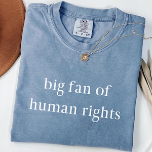 Big Fan of Human Rights Shirt: Equality Tee