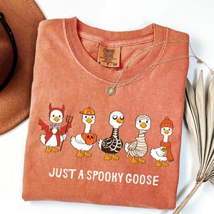 May include: A terracotta-colored t-shirt featuring a graphic of five cartoon geese in Halloween costumes. The geese are dressed as a devil, pumpkin, skeleton, mummy, and a goose with a scarf and hat. The text "JUST A SPOOKY GOOSE" is printed below the geese.