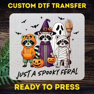 Spooky Halloween Raccoon DTF Transfer: Witch, Ghost, Mummy Costumes