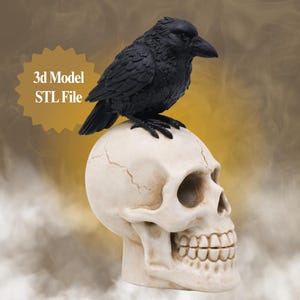 Archivo STL de cráneo de cuervo / Modelo 3D imprimible de cuervo gótico (descarga digital)