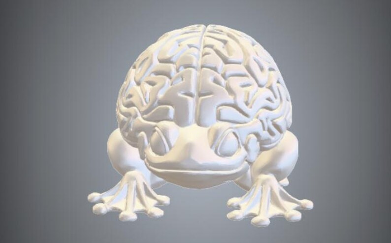 Brain Frog STL File | 3D Model, Unique Decor (STL Download) - Etsy