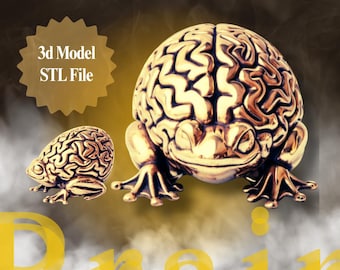 Brain Frog STL File | 3D Model, Unique Decor (STL Download)