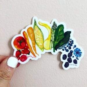 Food rainbow sticker, labtop decor, vegan vegetable and fruit sticker
