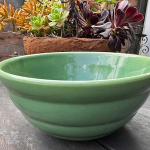 May include: A large, round, green ceramic bowl with a glossy finish. The bowl has a wide rim and a gently curved shape. The background features a wooden planter filled with colorful succulents, including orange, green, and burgundy varieties.