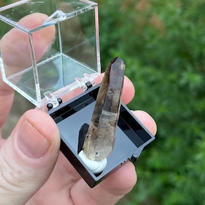 May include: A translucent, dark brown smoky quartz crystal point displayed upright inside a small, square, clear plastic display box with a black base. The crystal is secured to the base with a small piece of white adhesive material.