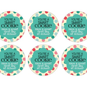 Pode incluir: Seis adesivos redondos e coloridos com o texto "You're a Smart Cookie. Have a great first day at school!" em preto sobre um fundo turquesa com bolinhas rosa e brancas.