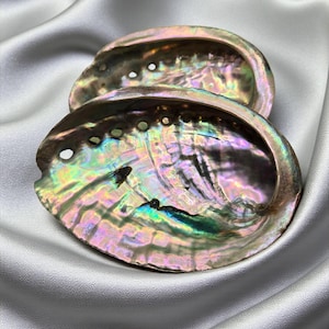 May include: Two iridescent abalone shells with a pearlescent sheen, displaying a spectrum of colours including pink, green, and purple. The shells are set against a backdrop of a smooth, silvery fabric, creating a contrast of textures.