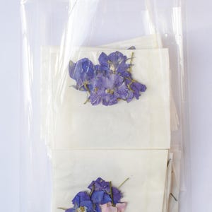 a6 compostable cellophane bag