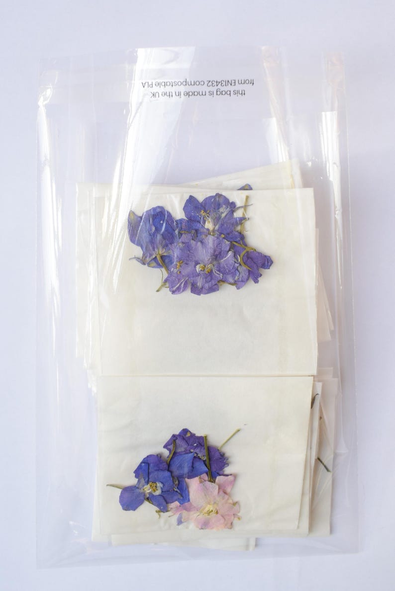 a6 compostable cellophane bag