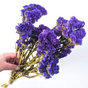 Statice Dried Flowers: Purple UK Grown Bunch for Making Bouquets