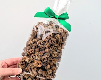 Cinnamon Potpourri - Christmas Scented Seed Pods Gift Pack 1.5 Litres