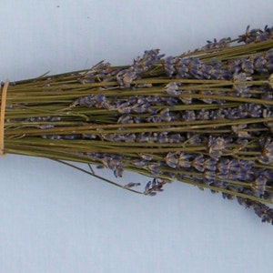 6 French dried lavender bunches from Provence Dry lavender stems Natural lavender for weddings, bouquets and floristry image 2