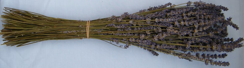 6 French dried lavender bunches from Provence Dry lavender stems Natural lavender for weddings, bouquets and floristry image 2