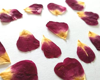 Pressed rose petals small red hearts | UK grown pressed flowers for craft, cardmaking or resin jewellery