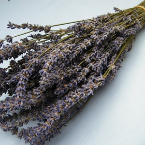 6 French dried lavender bunches from Provence Dry lavender stems Natural lavender for weddings, bouquets and floristry image 1